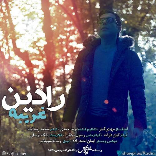 دانلود آهنگ غریبه رادین